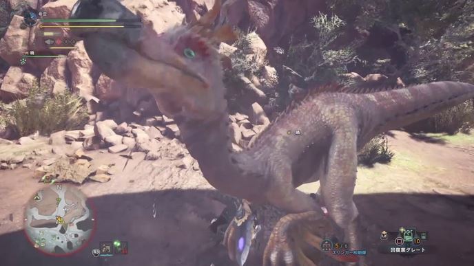 MHW クルルヤック