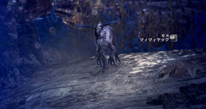 MHW ツィツィヤック