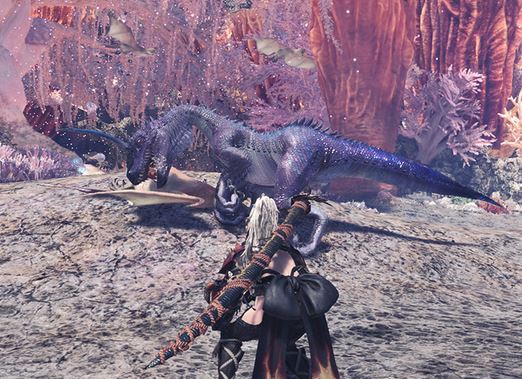 MHW ツィツィヤック
