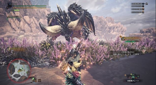 MHW ネルギガンテ