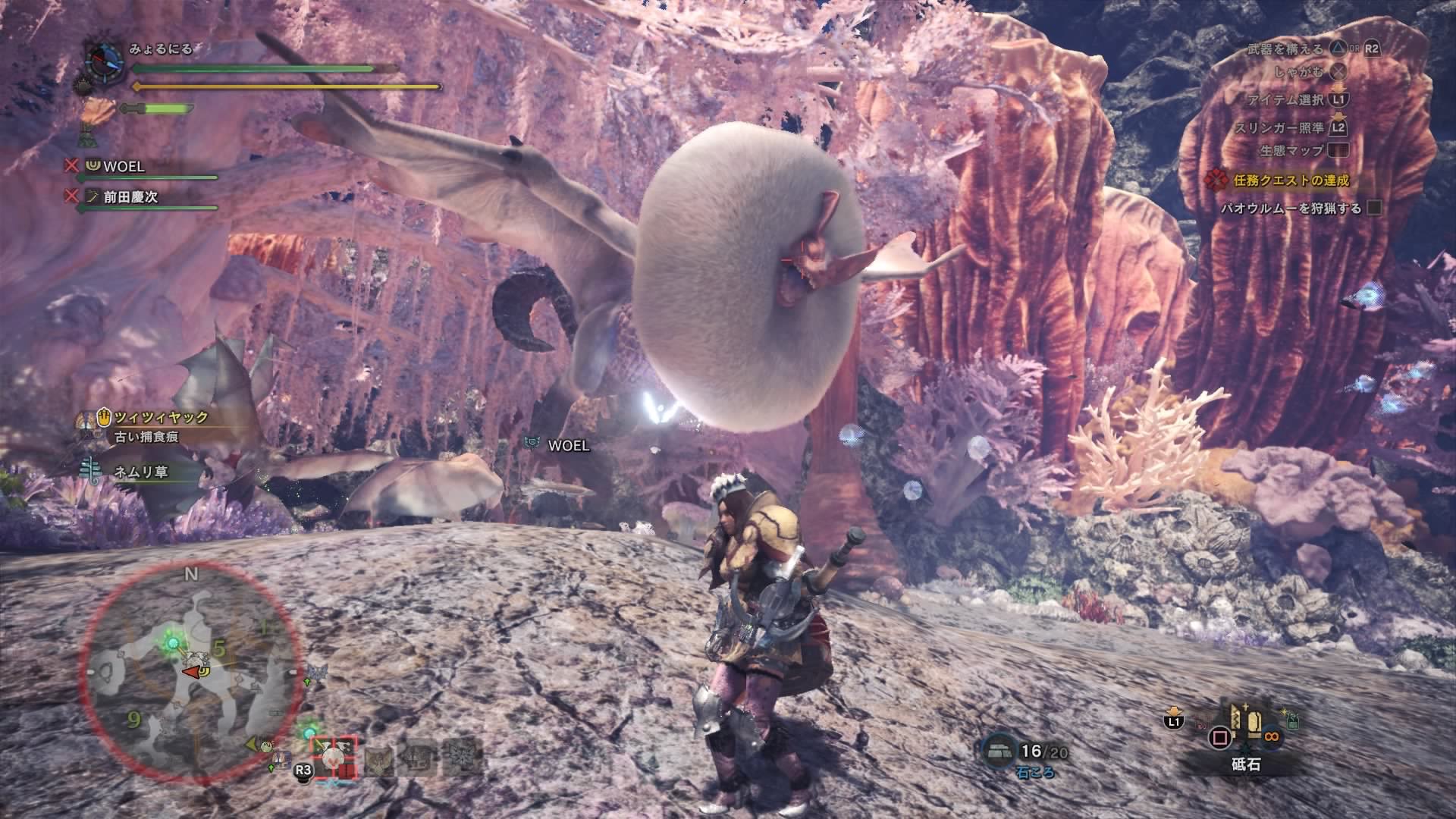 MHW パオウルムー