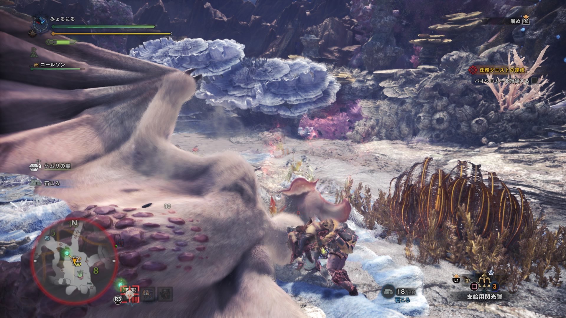 MHW パオウルムー