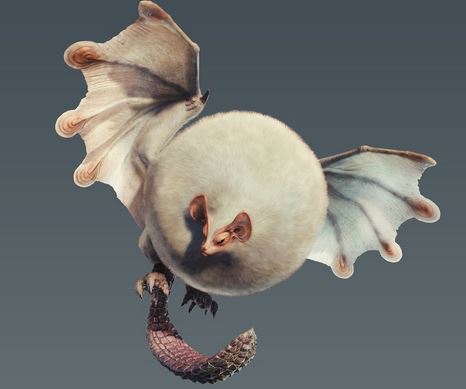 MHW パオウルムー