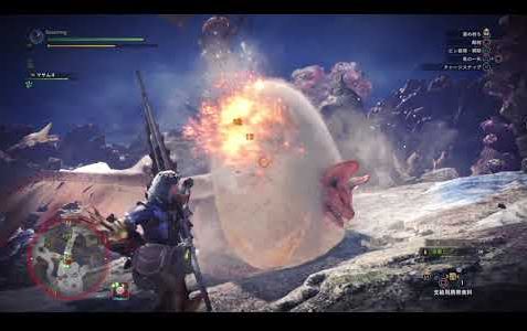 MHW パオウルムー