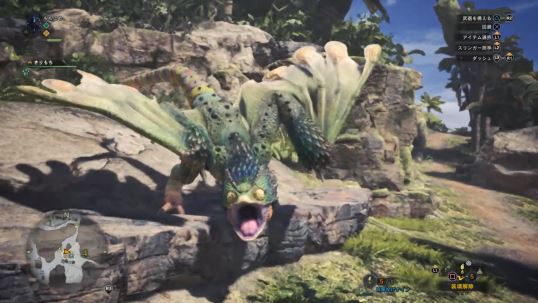 MHW プケプケ