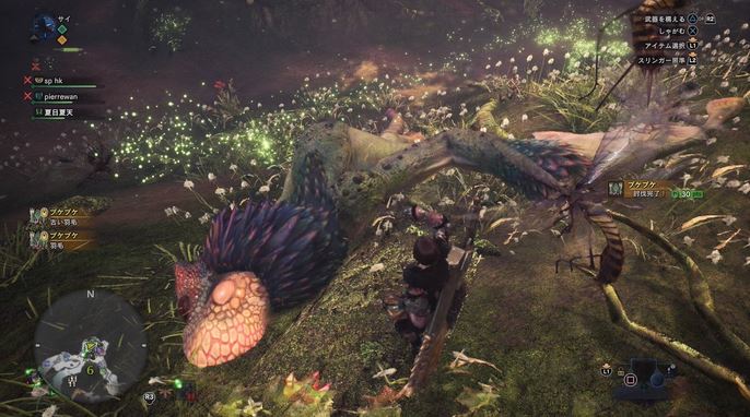 MHW プケプケ