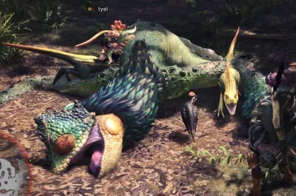 MHW プケプケ
