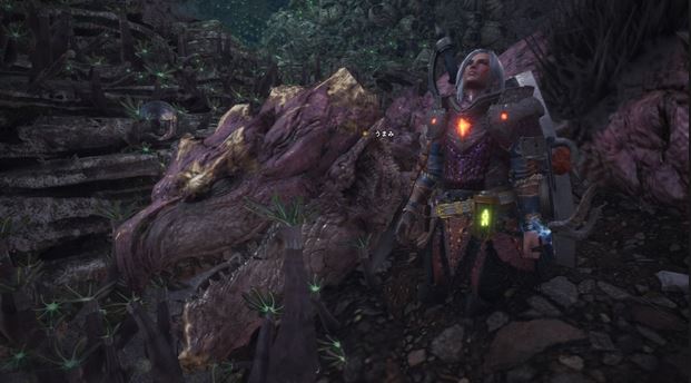 MHW リオレイア亜種