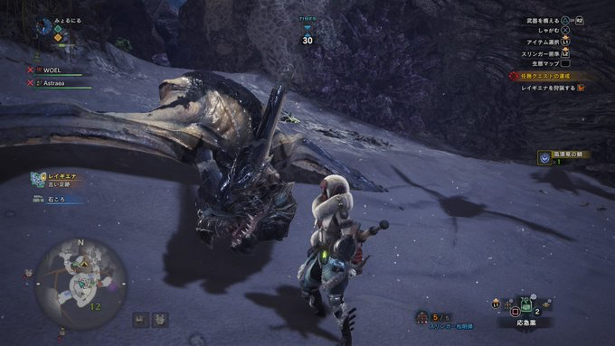 MHW レイギエナ